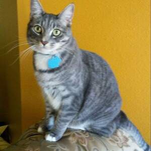 Fundraising Page: David Truelove-Covell